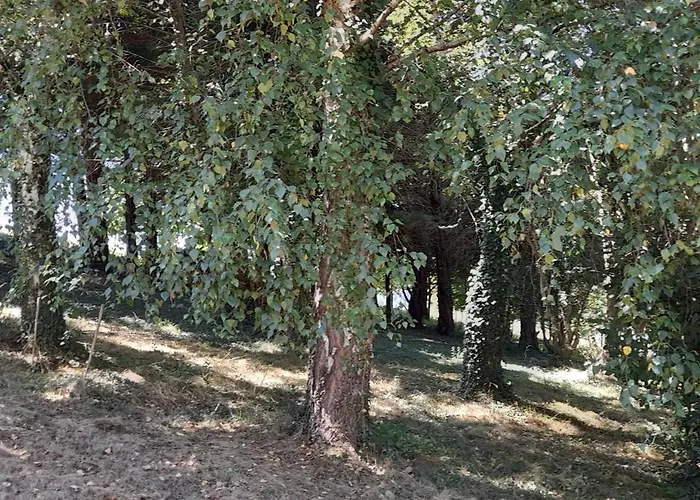 Nyaraló Perche Sur Crete Dans Un Petit Village Des Hautes-pyrenees Ossun-ez-Angles