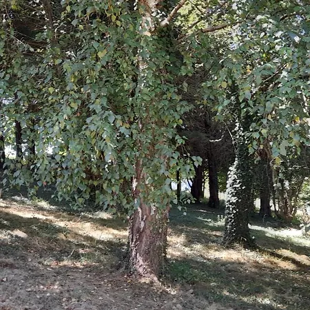 Casa vacanze Perché Sur Crête Dans Un Petit Village Des Hautes-pyrénées Ossun-ez-Angles